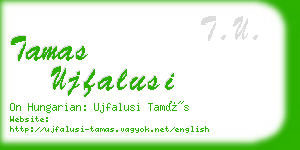 tamas ujfalusi business card